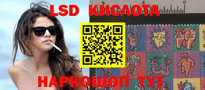 ECSTASY Новозыбков