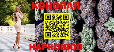 ECSTASY Новозыбков