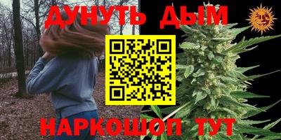 ECSTASY Новозыбков