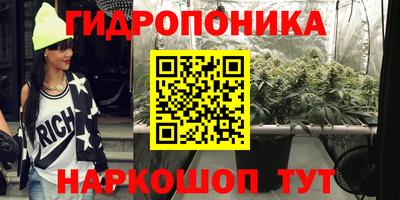 ECSTASY Новозыбков