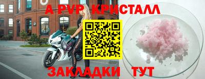 ECSTASY Новозыбков